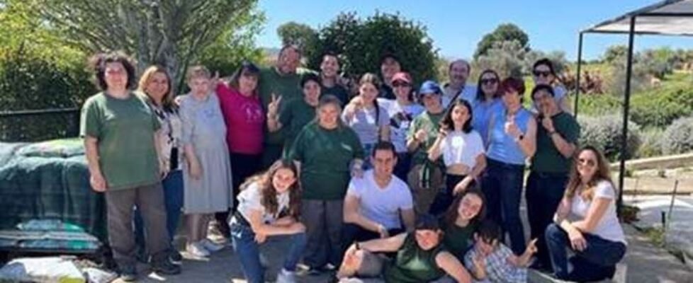 iris global-talisman