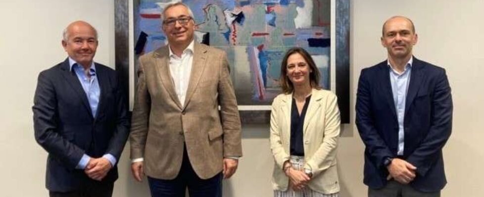 Allianz reunión con WTW Networks