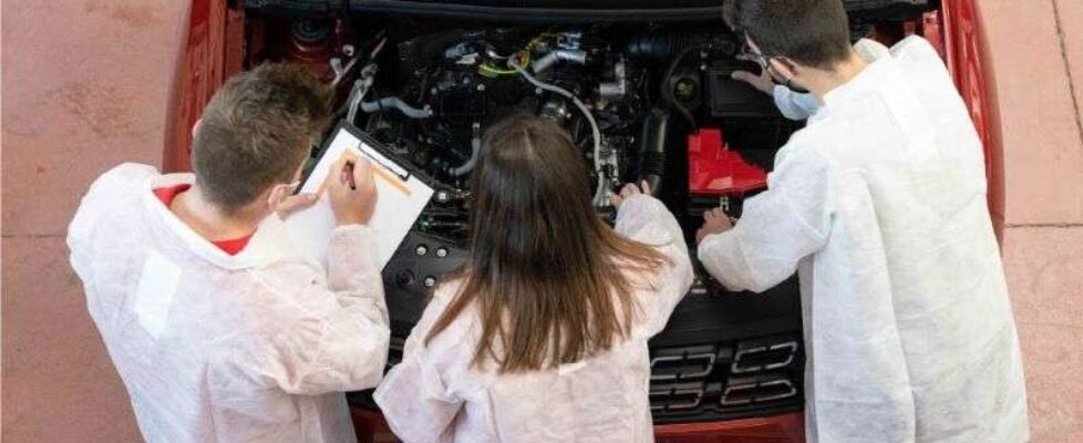 Cesvimap Mapfre formación FP