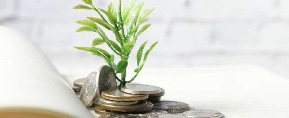 Mapfre Rentas Vitalias