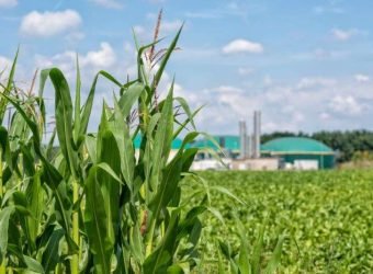 Mapfre fiondo biometano