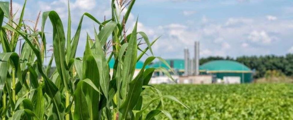 Mapfre fiondo biometano