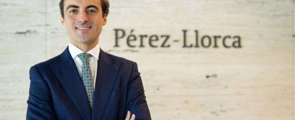 Pérez Llorca, Felipe Vázquez