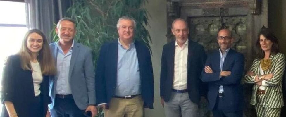 catalá Zurich - CCC (002)