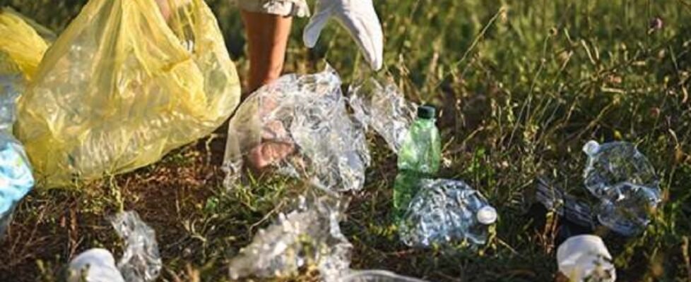 dkv B. Medialia Trade 759x450-2 (002)