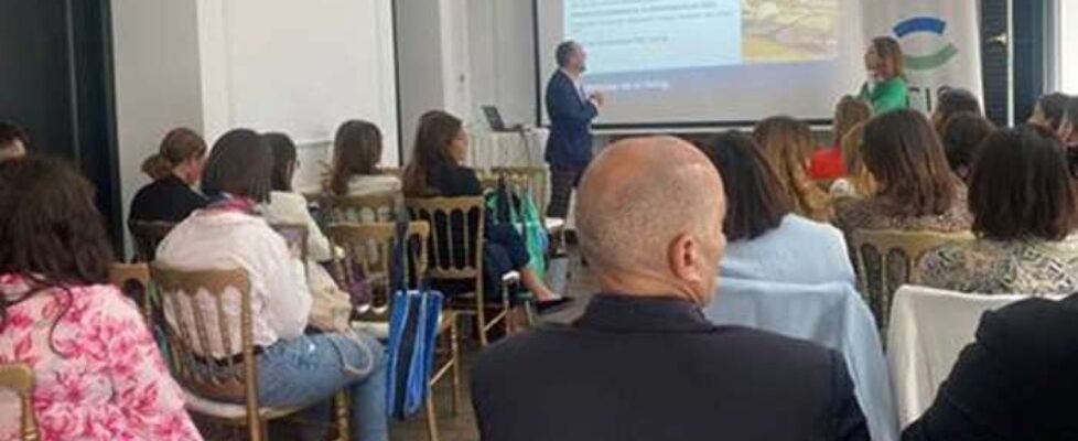 iris global-casa decor