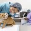 veterinario mascotas