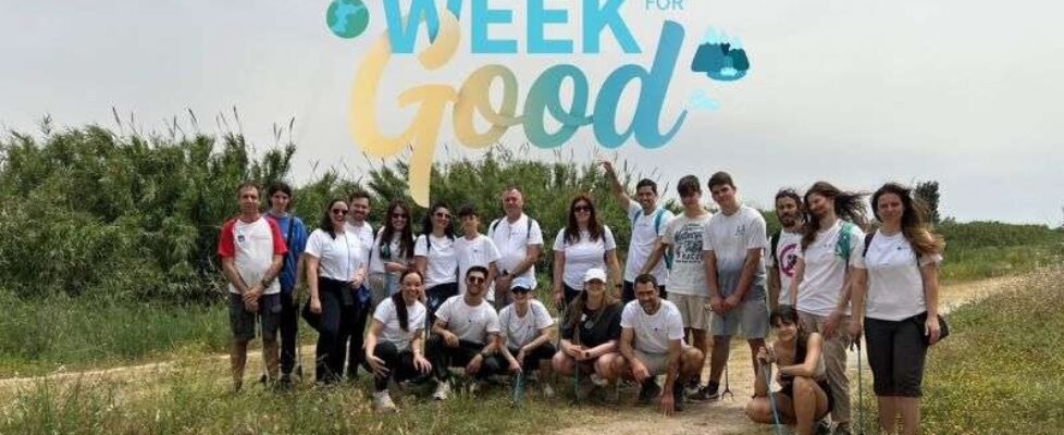 AXA semana voluntariado