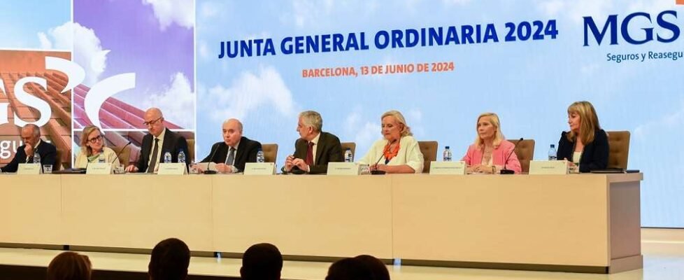 MGS Seguros 2024 (002)