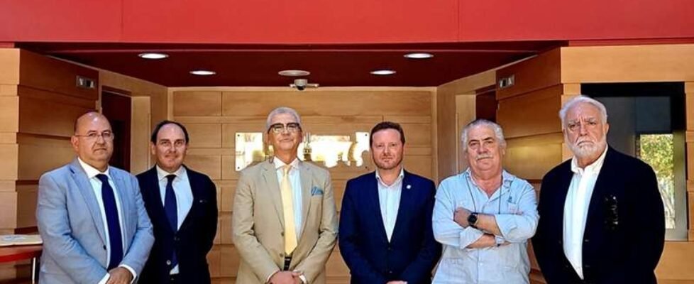 consejo andaluz-colegios-CEA