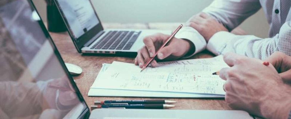 wolly-Corredurías de seguros-ordenador