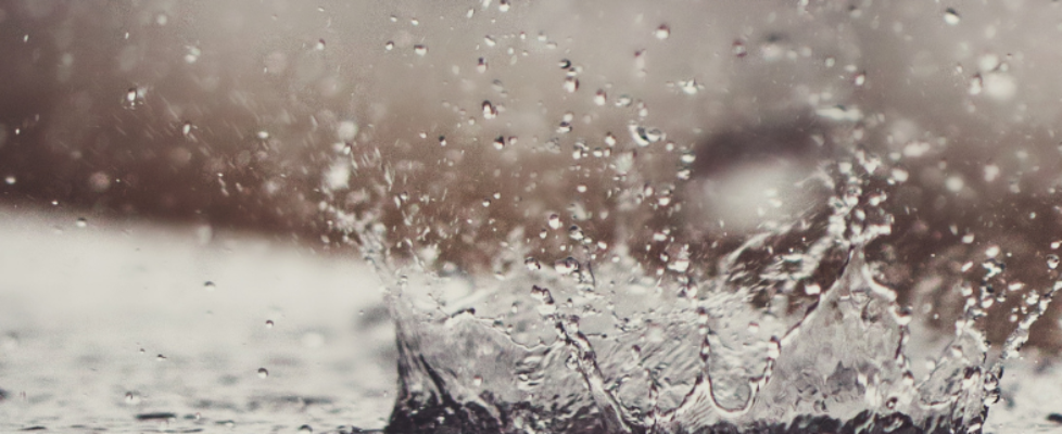 Crédito y Caución Cambio Climatico