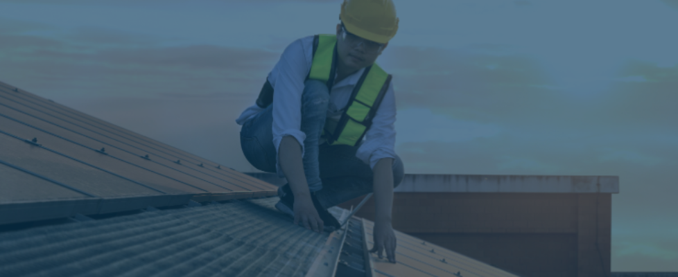 Jhasa paneles solares