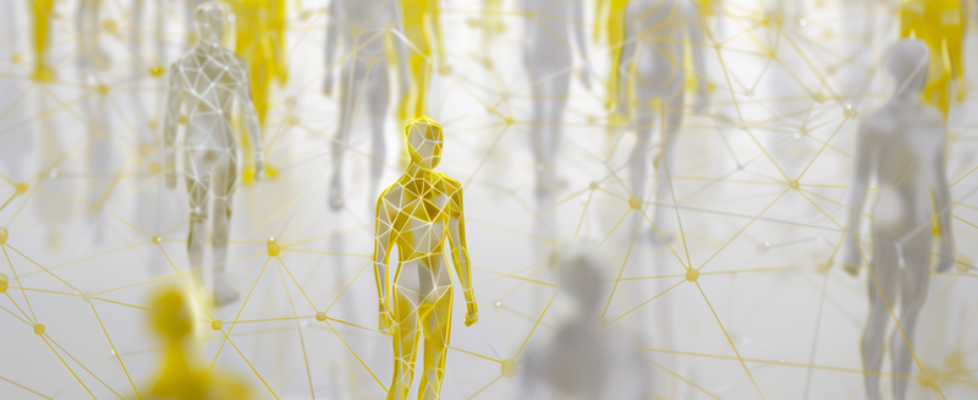 Portada_Resultados automatización-Wolly