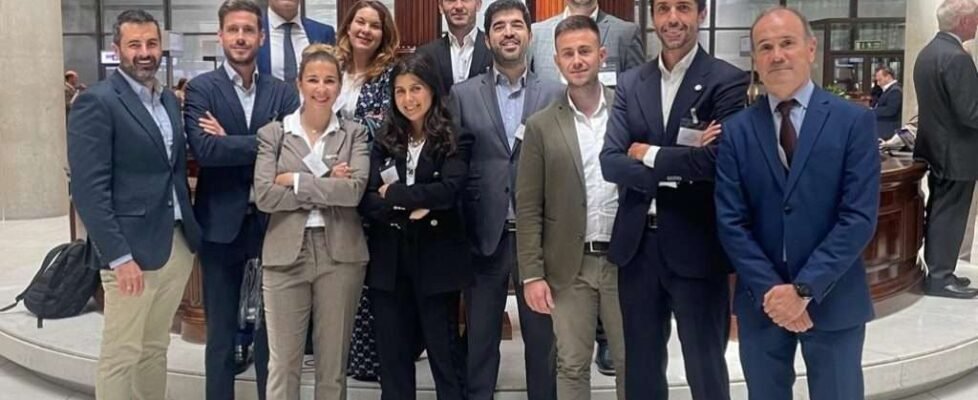 Proeles FECOR Lloyd's DEF (002)