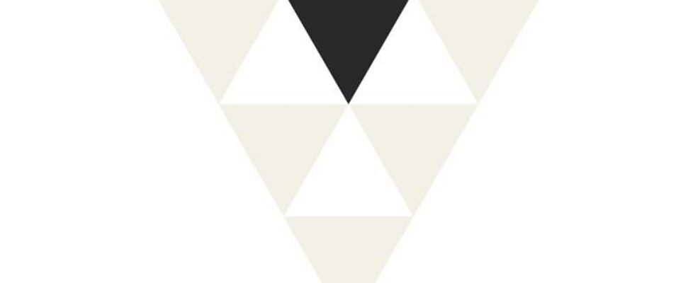 logo catedra liderazgo en valores