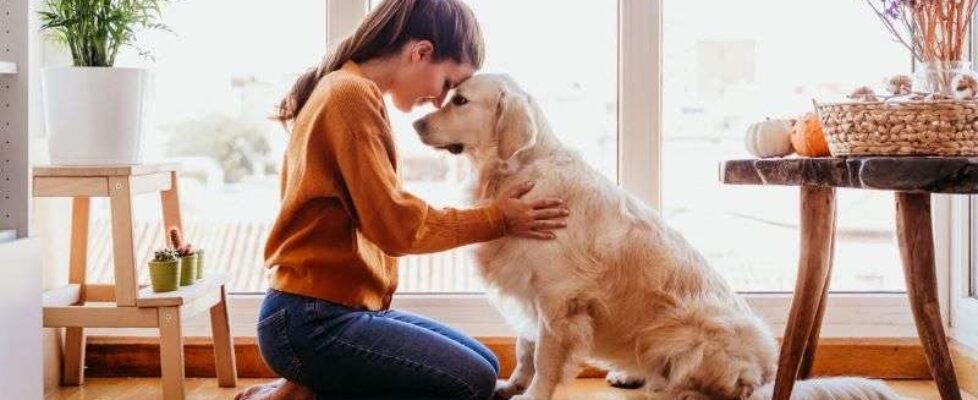 IES curso Fidelidade