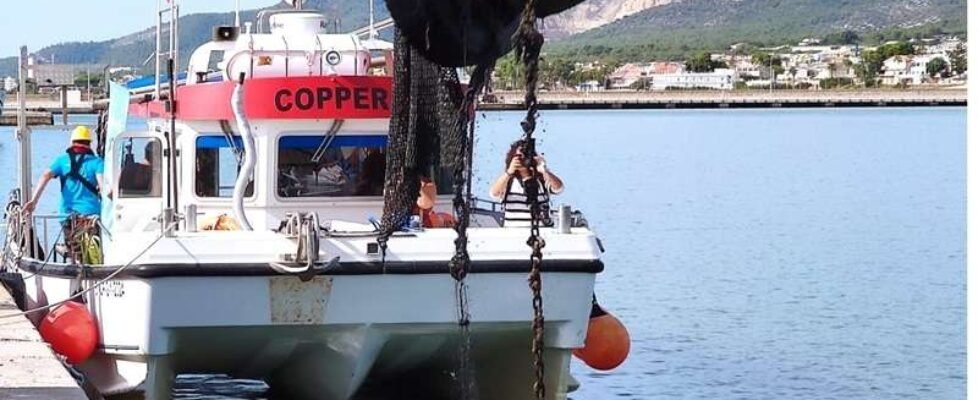 allianz-puerto la rapida