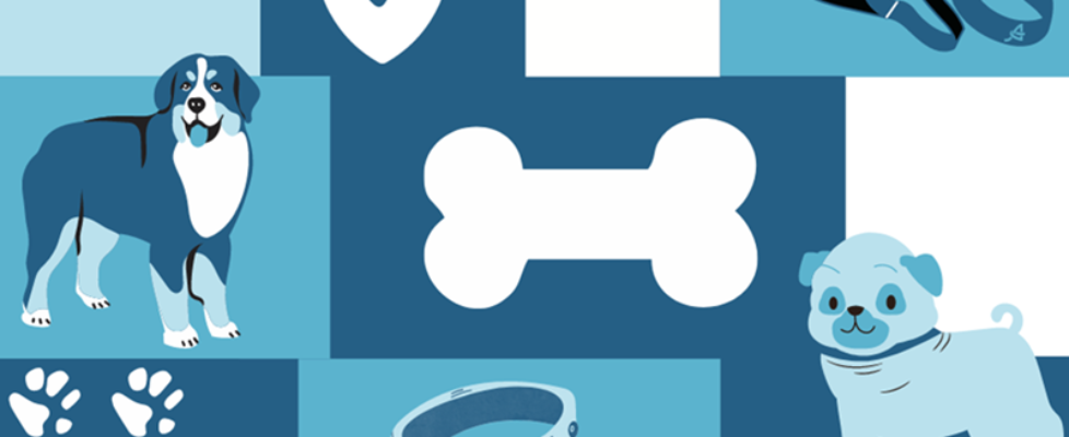 mascotas.segurosatocha