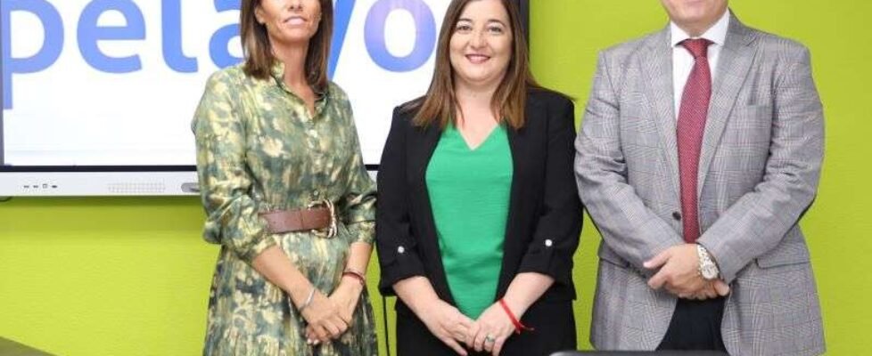 Colegio Toledo Pelayo