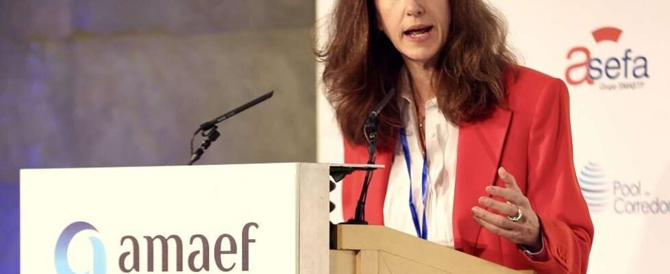 DGSFP Eva M Lidón_AMAEF (002)