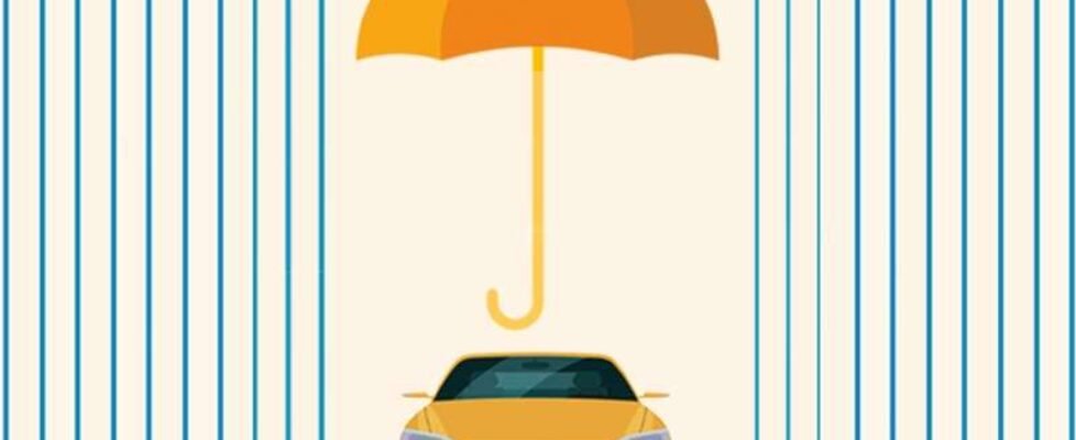 MGS-Tratamiento-antilluvia