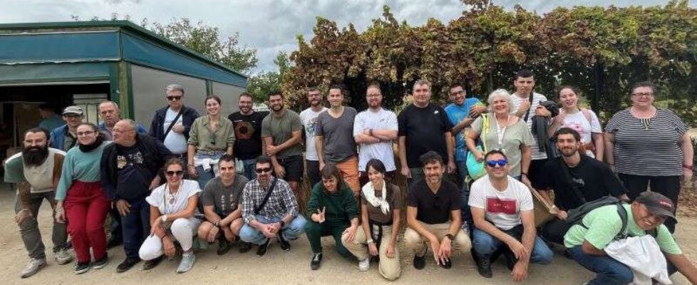 NN_Semana de Valores_2