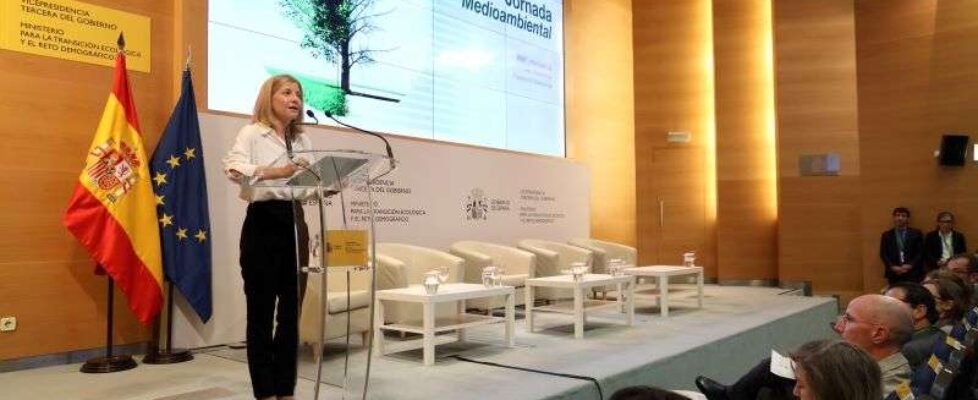 PERM Jornada_Medioambiental (16)