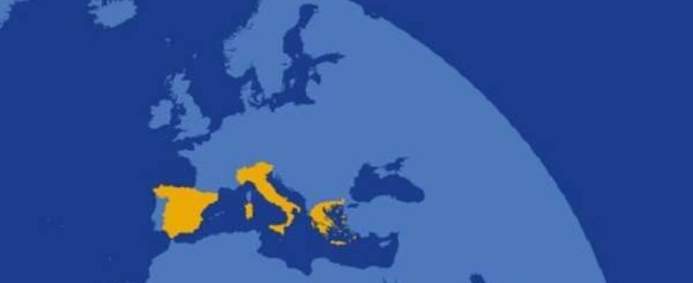 Reale Foundation (002)