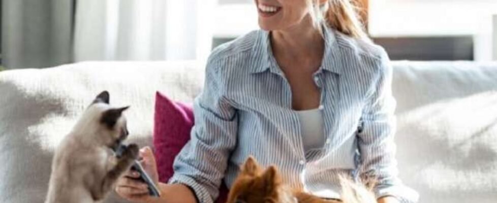 mutua levante mascotas