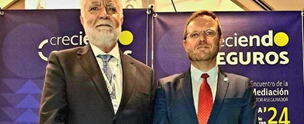 Aemes - Congreso mediadores - Genaro y Daniel