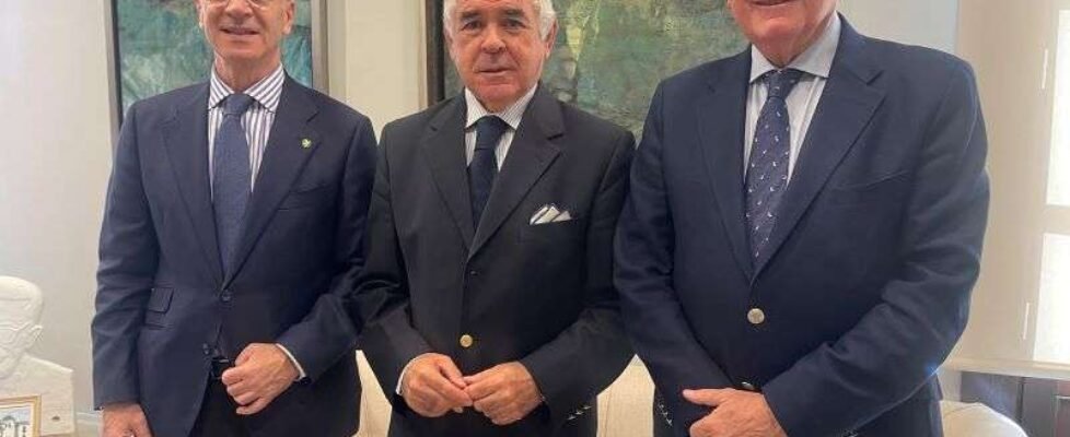 PSN Médicos Málaga