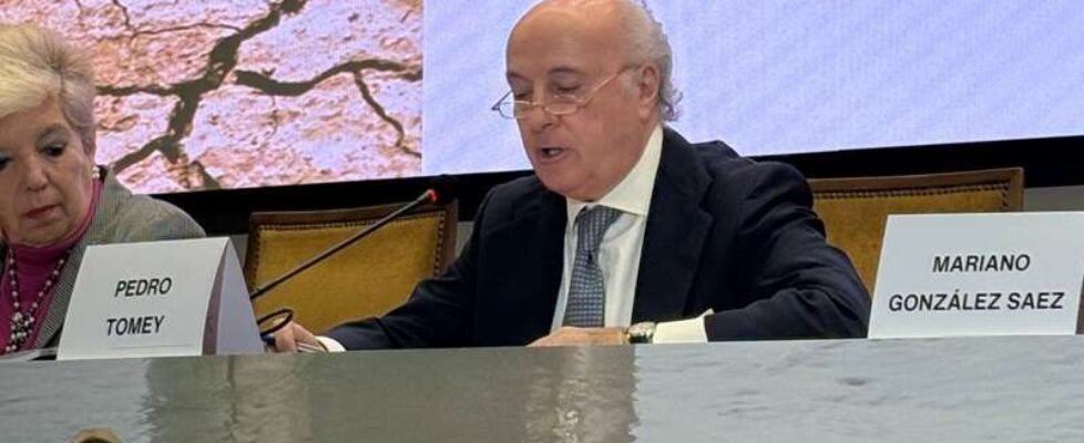 Pedro Tomey, Presidente del Observatorio de Catástrofes