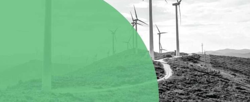 fit-for-55-stress-test