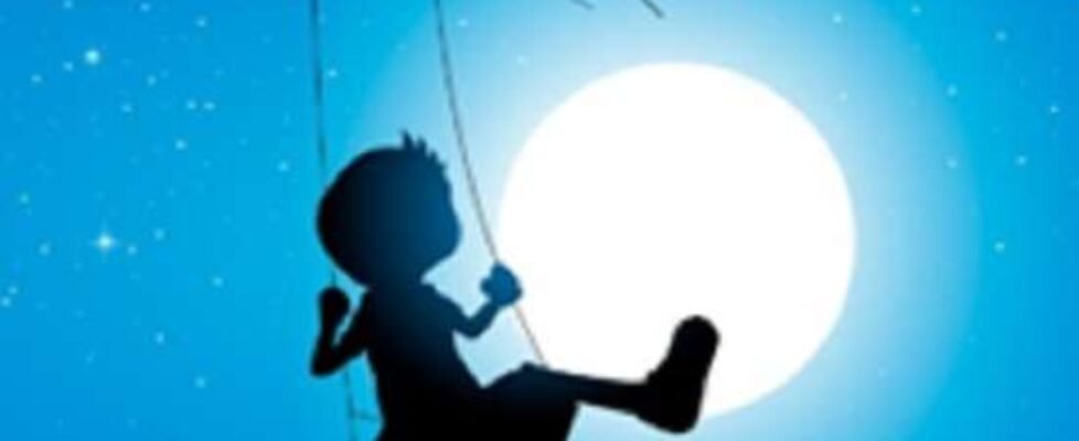 inese premios solidarios