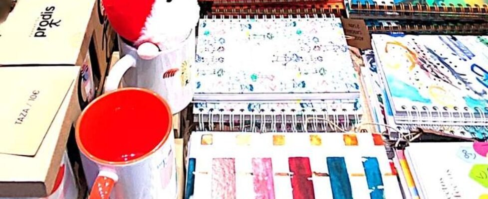 Cesce-empleados solidarios