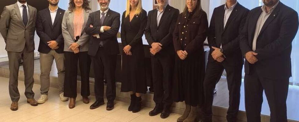 Junta Gobierno - Colegio Baleares