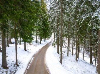 OVB-Cuesta de Enero 2025