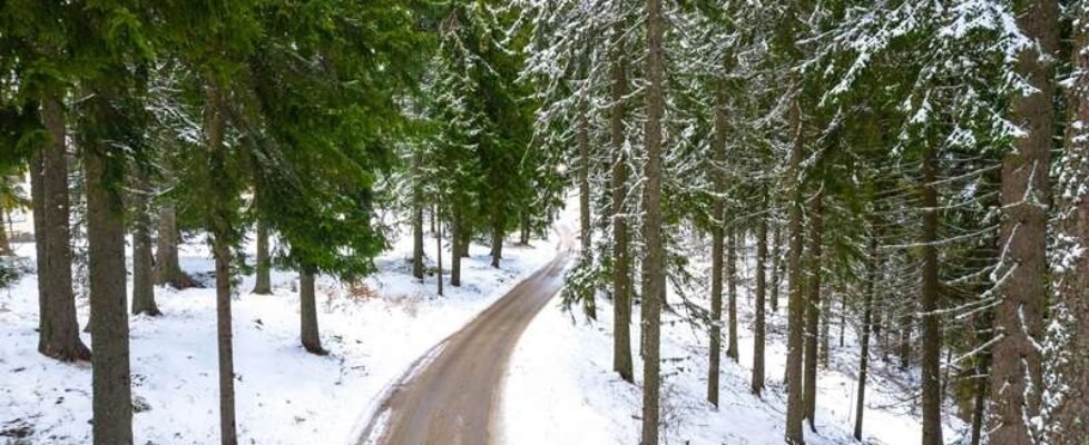 OVB-Cuesta de Enero 2025