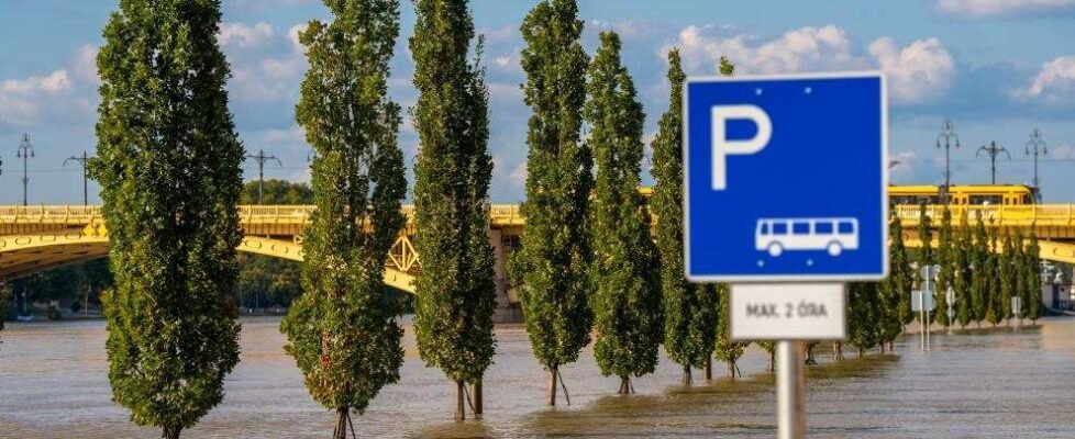 eiopa dgsfp inundación