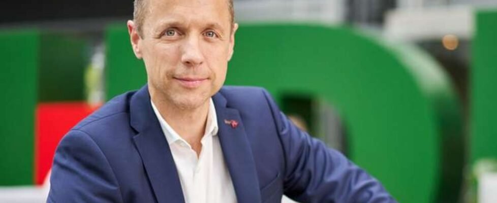 Indoor shot of serious bearded freelancer dressed in shirt, holds documentation, looks attentively at papers, does remote work, stands near window, drinks takeaway coffee. People and work concept