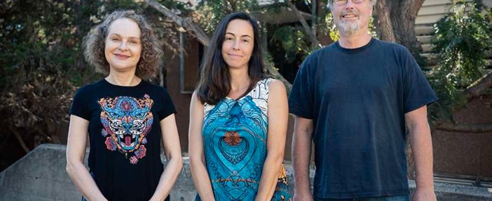 IAC Fundación Occident Investigadores Visitantes 2024