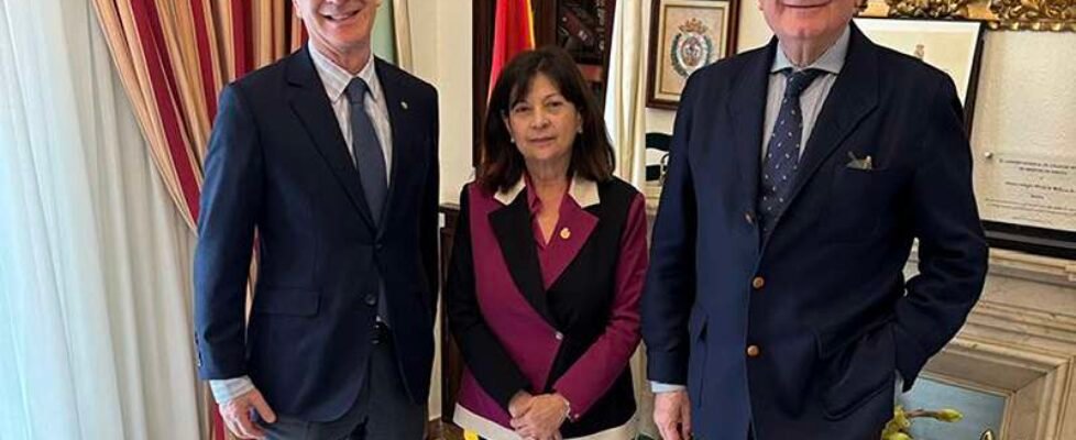 Colegio Medicos Huelva - PSN