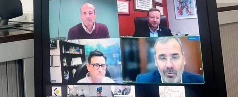 consejo andaluz- webinar dec