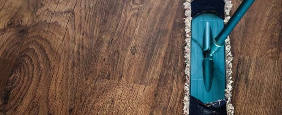 limpieza hogar oficina empleada-gratuita