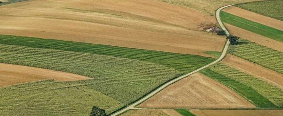 mapfre-consejo agropecuario