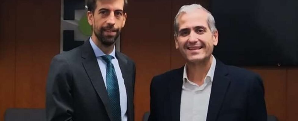 Reale Seguros -colegio alicante