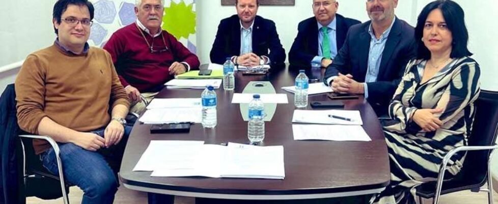 junta_gobierno_consejo_andaluz_