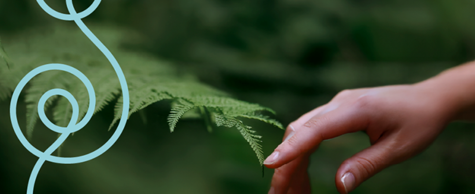 II Premios Albia de Sostenibilidad