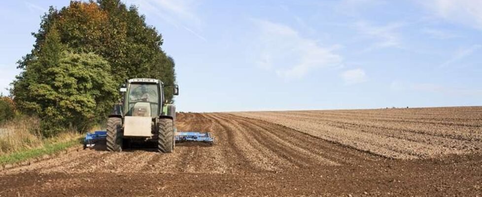 agricultura-agropecuario-campo-gratuita